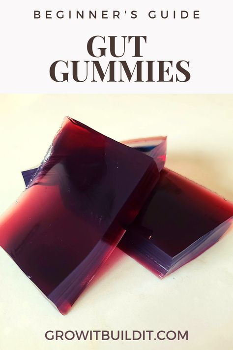 Collagen Fruit Snacks, Cherry Gelatin Gummies, Vitamin Gummies Homemade, Gelatine Recipes Healthy, Gelatin Gut Gummies, Gut Healthy Gummies, Gelatin Juice Gummies, Making Gummies With Gelatin, Gelatin Gummies Recipe