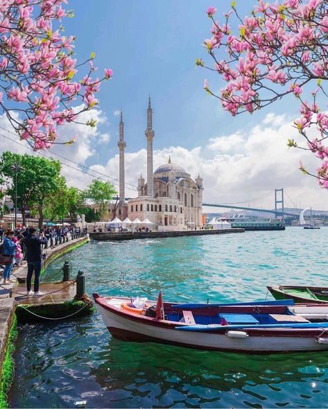 [New] The 10 Best Travel Today (with Pictures) #Travel Istanbul Turkey Photography, Travel Istanbul, Istanbul Photography, Painting References, Arsitektur Masjid, Turkey Photos, Istanbul Travel, Color Illustration, Beautiful Mosques