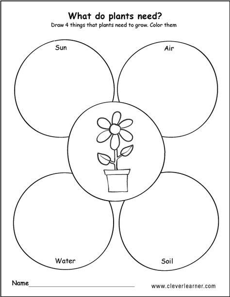 WHat plants need to grow draw and color worksheets What Plants Need To Grow, Plants Lesson Plans, Life Cycle Worksheet, Plant Life Cycle Worksheet, Plants Kindergarten, Plant Lessons, Plants Worksheets, Preschool Garden, Planting For Kids