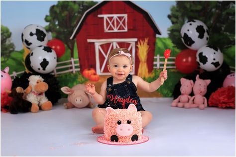 Farm Smash Cake, Farm Theme Cake, Farm Themed Cake, Farm First Birthday, Mcdonalds Birthday Party, Themed Cake Smash, Happy Unbirthday, Ink Photography, Cake Smash Theme