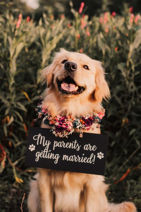 Dog engagement announcement Engagement Announcement With Dog, Dog Engagement Announcement, Subtle Engagement Announcement, Dog Proposal Ideas, Creative Engagement Announcement, Diy Engagement Photos, Rustic Italian Wedding, Animal Wedding, Creative Couples Photography