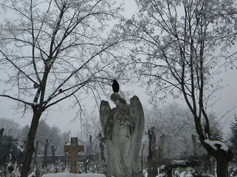 Tumblr Pale Grunge, Paradis Sombre, Cemetery Angels, Baba Jaga, Southern Gothic, Gothic Aesthetic, Dark Gothic, Six Feet Under, Gothic Architecture