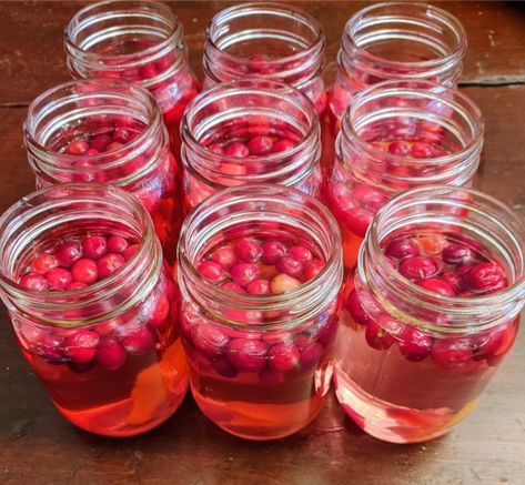 Cranberry Orange Vodka, Cranberry Vodka Recipe, Make Christmas Gifts, Vodka Gifts, Cranberry Orange Bread, Orange Vodka, Liquor Gifts, Cranberry Vodka, Vodka Recipes