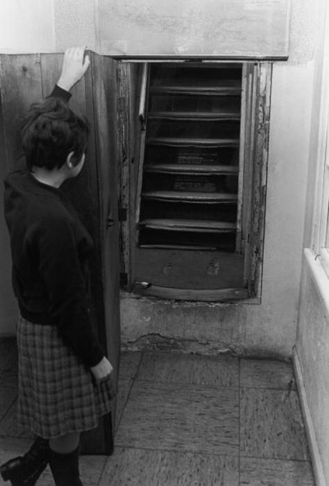 Family Finds Hidden Staircase That Leads To Creepy Secret [PHOTOS] Hidden Stairs, Secret Rooms In Houses, Hidden Staircase, Stair Shelves, Secret Passage, Attic Renovation Ideas, Hidden Passage, Secret Passages, Attic Playroom