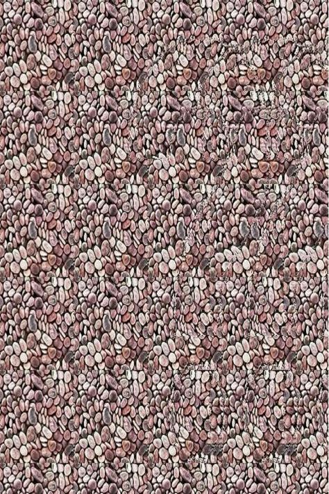 Magic Eye Posters, 3d Hidden Pictures, Hidden 3d Images, World Map Picture, Funny Monkey Pictures, Magic Eye Pictures, Eye Illusions, Illusion Pictures, Bar Image