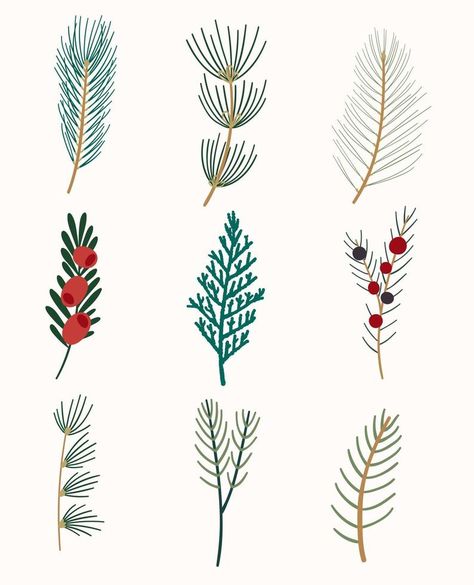 Winter flora. A set of evergreen branches. Thuja, yew, juniper, fir, cedar, pine, and spruce. Cedar Branch Drawing, Pine Branch Embroidery, Cedar Embroidery, Pine Branch Illustration, Juniper Painting, Pine Branch Drawing, Cedar Illustration, Juniper Drawing, Evergreen Illustration