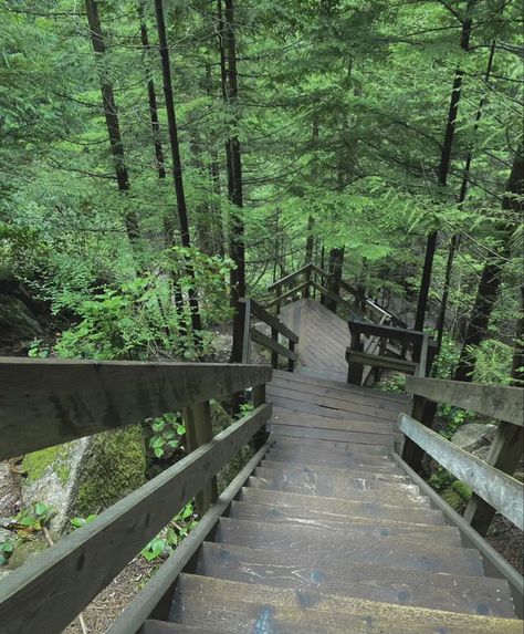 cottagecore forest stairs Forest Stairs, Wooden Forest, Cottagecore Forest, Forest Vibes, Destination Unknown, Outdoor Stairs, Forest Path, Wooden Stairs, Japanese Landscape