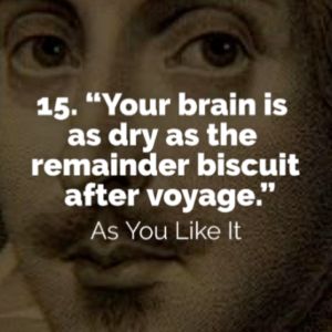 15 Hilarious Insults from Shakespeare You Should be Using Funny Shakespeare Quotes, Shakespeare Funny, Insulting Quotes, Famous Book Quotes, William Shakespeare Quotes, Shakespeare Quotes, Mr Wonderful, Architecture Quotes, French Quotes