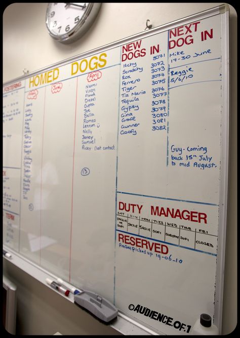 idea for appointments, and times ,and sizes,Plus preparing for shampoos etc Dog Boarding Facility Organization, Animal Shelter Organization Ideas, Boarding Facility Ideas Dog, Dog Shelter Aesthetic, Animal Shelter Aesthetic, Dog Boarding Facility Ideas, Kennel Business, Dog Boarding Ideas, Dog Boarding Facility