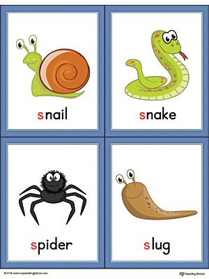 Letter S Words and Pictures Printable Cards: Snail, Snake, Spider, Slug (Color) Worksheet.The Letter S Words and Pictures Printable Cards can be used for flashcards, various games, and help your student associate unfamiliar words with a picture. Colorful picture cards for the words: snail, snake, spider, and slug. S Letter Words With Pictures, Vocabulary Cards With Pictures, Alphabet Pictures Printables, Letter I Words, Alphabet Word Wall Cards, I Words, Sound Pictures, Alphabet Word Wall, Jolly Phonics Activities