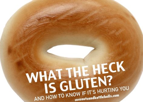 What the Heck is Gluten? - Coconuts and Kettlebells Non Celiac Gluten Sensitivity, Blueberry Quinoa Breakfast Bars, Gluten Free Banana Bread Muffins, Gluten Detox Cleanse, Gluten Symptoms, Avocado Pesto Recipe, Sugar Free Cereal, Quinoa Breakfast Bars, What Is Gluten Free