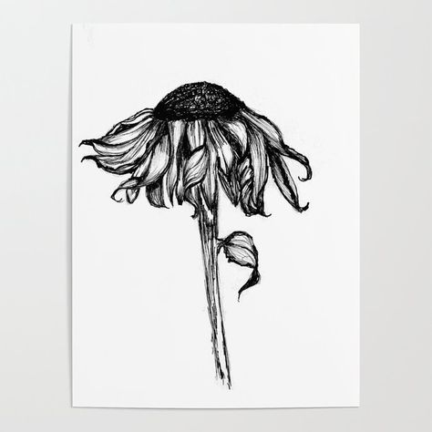 Wilted Flower Ink Drawing Poster by corihederichart | Society6 Wilted Sunflower Drawing, Died Flowers Drawing, Withered Flowers Drawing, Wilting Sunflower Tattoo, Wilted Sunflower Tattoo, Decaying Flowers Tattoo, Wilted Flowers Tattoo, Spooky Flowers Drawing, Wilting Flowers Drawing