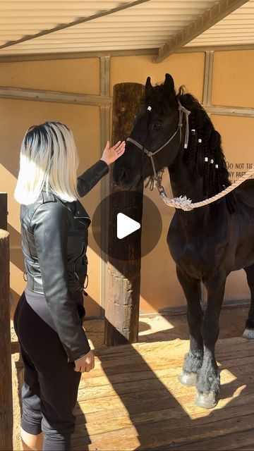 Liset Ramirez | Travel Creator | LA on Instagram: "Calling all horse 🐎 lovers! I found your new favorite spot!   ✨   ✨  ✨ #thingstodoinla #palmdale #california #kidfriendly #horse #horseriding" Palmdale California, Funny Horse Videos, Funny Horses, Horse Videos, Funny Horse, Horse Lovers, Animal Videos, I Found You, Funny Animal