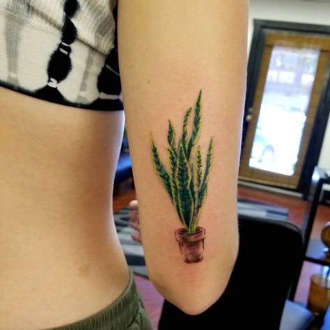 Thinking about getting a plant tattoo? Check out these great inspirations of house plant tattoos and other green leafy goodness. Monstera Indoor, Plant Tattoo Ideas, Unique Tattoos Black Women, Plant Tattoos, Tattoo Ideas Males, Plants At Home, Tattoo Filler, More Friends, Nature Background Images