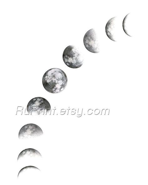 Celtic Turtle, Moon Phases Printable, Moon Cycle Tattoo, Witchcraft Tattoos, Under Chest Tattoo, Luna Tattoo, Line Art Tattoo, Moon Phases Tattoo, Tattoo Shading