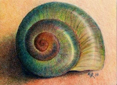 Oil pastel shell Dragon Simple Drawing, Snails Drawing, Humphrey Dumpty, Snail Coloring Pages, Snail Coloring, Colored Pencil Artwork Ideas, Shell Drawing, Shell Tattoos, Snail Art