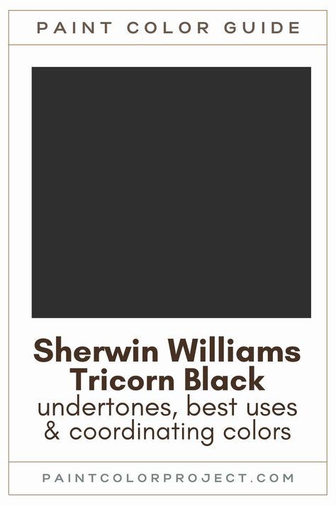 Paint Trim Black, Black Interior Ideas, Tricorn Black Sherwin Williams Dining Room, Whites That Go With Tricorn Black, Sherman Williams Black Paint, Iron Ore Vs Tricorn Black Exterior, Sherwin Williams Tricorn Black Coordinating Colors, Best Black Trim Paint Color, Best White To Go With Tricorn Black