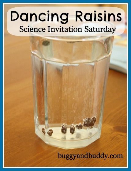 Dancing Raisins~ A science experiment for any age {Science Invitation Saturday} Science Invitations, Dancing Raisins, Science Experience, Science Club, Kid Experiments, Science Activities For Kids, Kindergarten Science, Preschool Science, Science Experiment