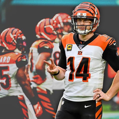 Andy Dalton Andy Dalton, Cincinnati Bengals Football, Bengals Football, Cincinnati Bengals, Football Helmets, Cincinnati, Nfl, Football, Quick Saves