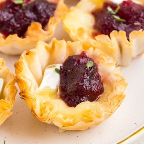 Brie In Phyllo Cups, How To Make Phyllo Cups, Filo Cup Appetizers, Pepper Jelly Phyllo Cups, Brie Bites Phyllo, Brie Pastry, Brie And Cranberry, Honey Roasted Pecans, Pastry Cups