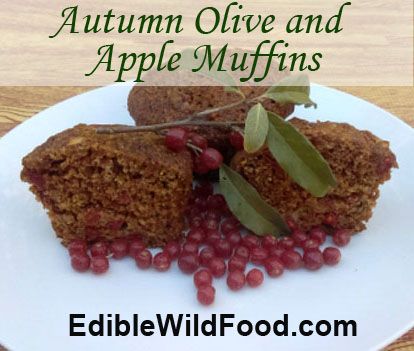 Autumn Olive Berry Recipes, Autumn Olive Recipes, Hot Apple Juice, Apple Muffins Recipe, Plant Recipes, Edible Recipes, Apple Muffin Recipes, Autumn Olive, Wild Foraging