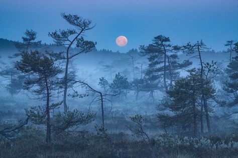 the blue border by kilian schonberger 3 The Blue Hour by Kilian Schoenberger (12 Photos) By Kilian, Undersea World, Aerial Arts, Dreamy Landscapes, The Enchantments, Blue Border, Blue Hour, Top Art, Aerial Photo