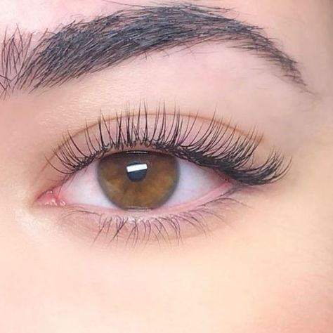 Natural Looking Eyelash Extensions, Natural Fake Eyelashes, Lash Extentions, Lashes Fake Eyelashes, Natural False Lashes, Eyelash Extensions Styles, Lash Extensions Styles, Perfect Eyelashes, Pretty Lashes