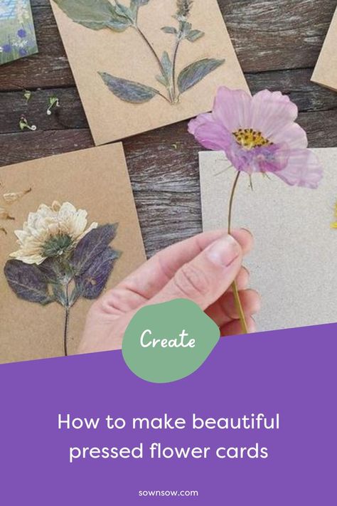 Making pressed flower cards is not only a wonderful way to give your fresh flowers a second life, but it’s also a special way to share the joy of your homegrown blooms with loved ones. Learn how to make pressed flower cards using our step-by-step guide. Dried Flower Cards Diy, How To Glue Dried Flowers To Paper, Pressed Flower Greeting Cards, Pressed Flower Ideas Crafts, Pressed Flowers Cards Diy, Pressed Flower Cards Handmade, Dried Flowers Cards Ideas, Dried Flower Cards Handmade, Dried Flower Art Diy