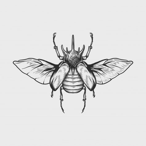 Dessin à La Main Illustration Vectoriell... | Premium Vector #Freepik #vector #millesime #design #main #animal Scarab Beetle Tattoo Design, Scarab Beetle Drawing, Insect Tattoo Design, Insects Drawing, Scarab Beetle Tattoo, Insect Drawing, Beetle Drawing, Tattoo Animals, Beetle Design