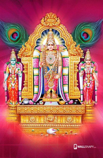 Thiruthani Murugan Images, Murugan Valli Deivanai, Murugan Hd Wallpaper, Om Muruga, Best Love Images, Subramanya Swamy, God Murugan, Indian Font, Tanjore Art