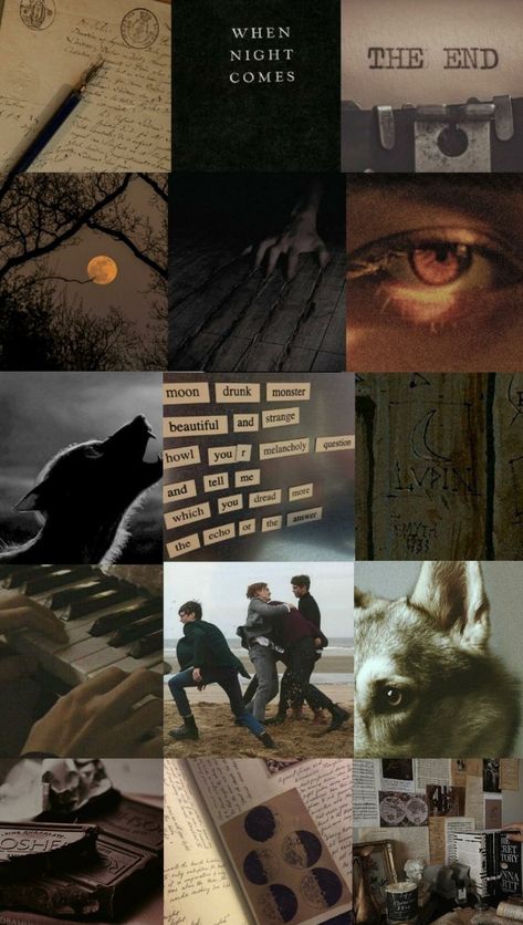 Remus Lupin Harry Potter Wallpaper Remus Lupin Collage Wallpaper, Remus Lupin Werewolf Fanart, Remus Lupin Room Aesthetic, Mauraders Era Aesthetic Wallpaper, Muggleborn Slytherin, Remus Lupin Aesthetic Wallpaper, Remus Lupin Kinnie, Moony Remus Lupin Aesthetic, Marauders Aesthetic Wallpaper