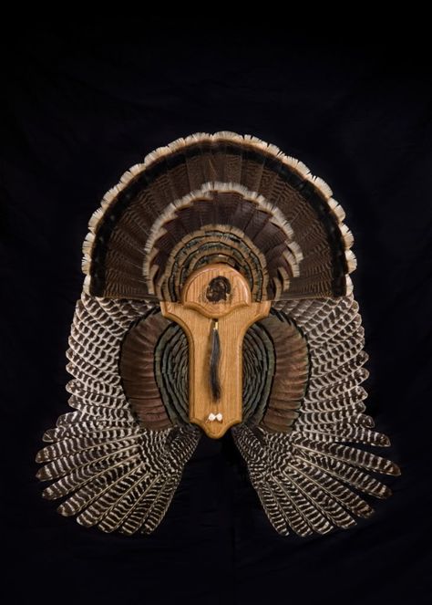 Turkey Mount Idea Archery Storage, Turkey Taxidermy, Turkey Hunting Decor, Turkey Mounts, Deer Hunting Decor, Skull Lamp, Hunting Ideas, Animal Mounts, Turkey Fan