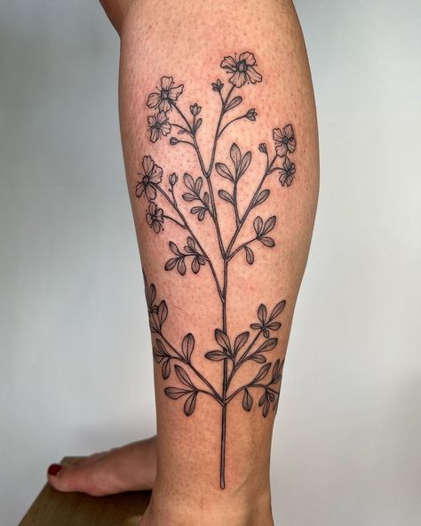 June Wildflower Tattoo, Rue Plant Tattoo, Rue Flower Tattoo, Nov Birth Flower Tattoos, Rue Tattoo, Wildflowers Leg Tattoo, Rue Flower, Arm Sleeve Tattoos For Women, Books Open