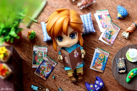 Loz Botw, Lilly Grace, Link Botw, Botw Zelda, Zelda Funny, Toy Photography, Link Zelda, Figure Photography, Toy Art