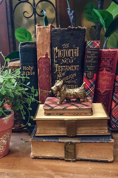 Scottish Decor, Bookcase Styling, Bookcase Decor, Casa Vintage, Bookshelf Styling, Cottagecore Style, Buffet Table, Scottie Dog, Home Library