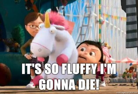 It's so fluffy, I'm gonna die! Despicable Me Its So Fluffy, Funny Movie Memes, Movie Memes, Movie Lines, Minions Funny, Funny Movies, Despicable Me, A Unicorn, Great Movies