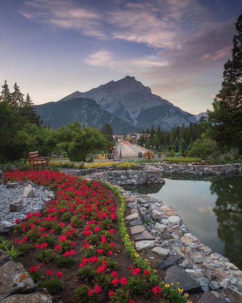 Looking north down Banff Avenue from the beautiful Cascade Gardens. Cascade Garden, Lindsay Smith, Rocky Mountaineer Train, Rocky Mountaineer, Canadian Rockies, Rocky Mountains, Rocky, Landscaping, Beautiful Places