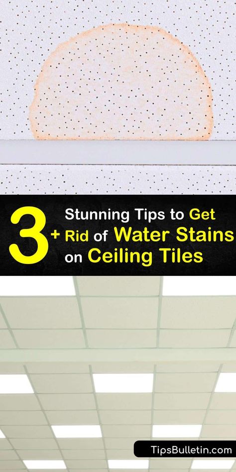 Discover how to remove hard water stains from ceiling tile in a few simple steps. Water damage causes hard water stains on the ceiling panel. Remove these stains with bleach, white vinegar, primer, and paint. #howto #remove #water #stains #ceiling Water Stains On Ceiling, Painting Ceiling Tiles, Water Stain On Ceiling, Water Damaged Ceiling, Paint The Ceiling, Cleaning Ceilings, Remove Water Stains, Tile Stained, Bleach White