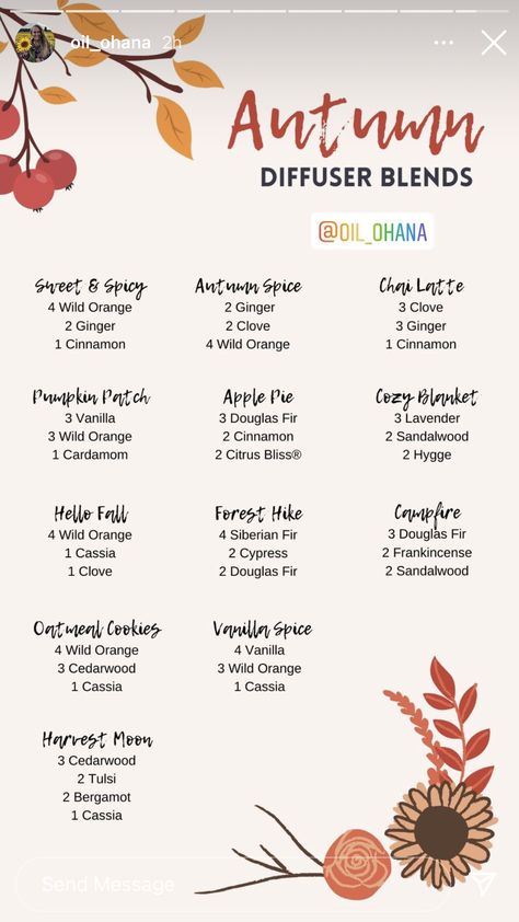 Ginger Diffuser Blend, Fall Diffuser Blends, Doterra Diffuser, Vanilla Spice, Essential Oil Remedy, Essential Oils Cleaning, Diy Perfume, Doterra Essential Oils Recipes, Oil Remedies