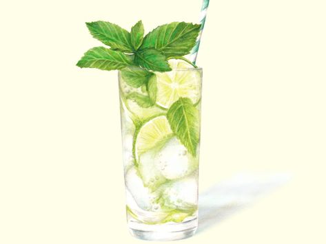 Mojito Watercolor, Watercolor Drinks, Cocktail Book Design, Painting Types, Watercolour Food, Watercolor Food Illustration, Cocktail Illustration, Food Artwork, Watercolor Food