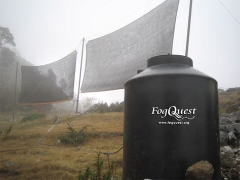 FogQuest – http://www.fogquest.org FogQuest is a Canadian non-profit that uses modern fog collectors to bring drinking water and water for irrigation and reforestation to rural communities in developing countries around the world. Their fog collectors can be used in dry regions and even deserts that receive less than one millimeter of rain each year. But to work, they do require fog and light winds. Windmill Water, Water From Air, Rain Collection, Clean Drinking Water, Lawn Sprinklers, Wind Generator, Safe Drinking Water, Rainwater Harvesting, Rain Water Collection