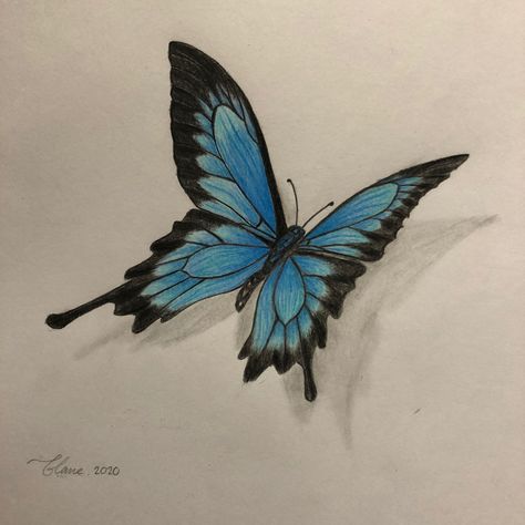 Coloured Butterfly Drawing, Butterfly Coloured Pencil Drawing, Color Pencil Butterfly, Blue Butterfly Drawing, Butterfly Sketch, Lucky Wallpaper, Art Final, Blue Drawings, Pencil Artwork