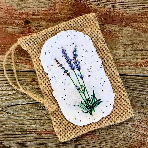 How to Make Paper with Seeds! - The Graphics Fairy Paper With Seeds, Seed Paper Diy, Flower Seed Paper, Recycled Paper Crafts, Farm Craft, Lavender Seeds, Plantable Seed Paper, The Graphics Fairy, Diy Gift Card