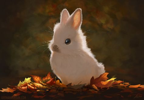 Bunny Painting, Most Beautiful Images, Fantasy Paintings, Animal Sketches, Autumn Art, Creature Design, Cute Illustration, Animal Illustration, Animal Design