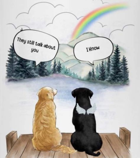 Dead Dog Quotes, Tattoos For Dead Dogs, Dead Dog Tattoo, Rip Dog Drawings, Rest In Peace For Dogs, My Dog Just Died, I Lost My Dog, Losing Your Childhood Dog Quotes, Miss My Dog