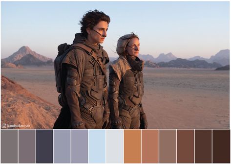 Landscape Movie Scene, Color Grading Inspiration, Cinematic Pallet, Dune Color Palette, Dune Scenes, Dune Photoshoot, Cinema Palettes, Lr Editing, Dune Film