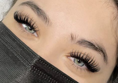 Angel Eyelash Extensions, Types Of Eyelash Extensions Styles, Cateye Eyelashes Extensions, Types Of Eyelash Extensions, Natural Fake Eyelashes, Lash Extentions, Lash Technician, Lashes Fake Eyelashes, Eyelash Extensions Styles