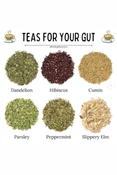 Teas for your Gut Healthy Gut Diet, African Herbs, Easy Teas, Gut Health Diet, Best Herbal Tea, Healing Tea, Gut Health Recipes, Health Tea, Herbal Healing