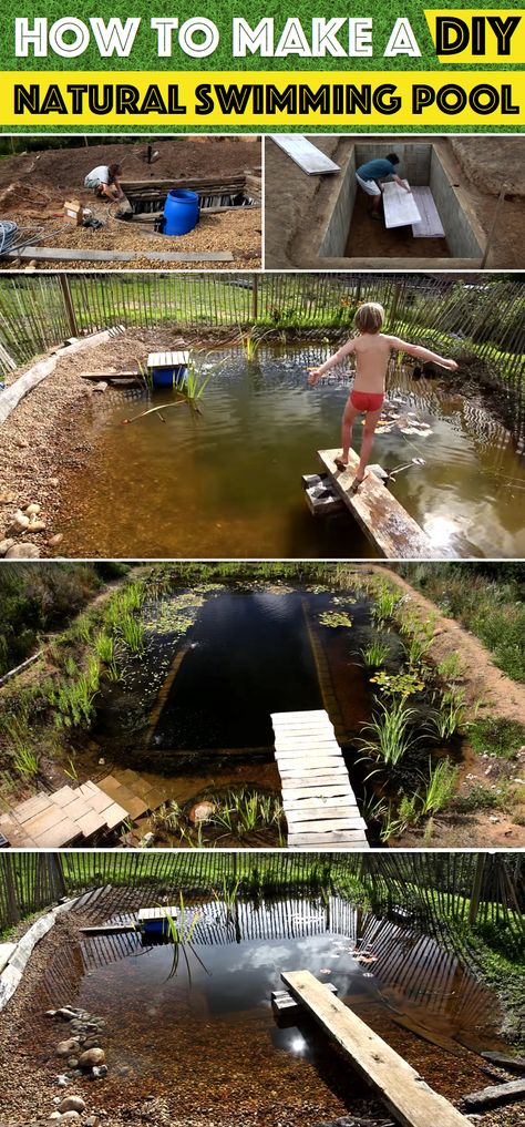 Diy Natural Swimming Pool, Natural Ponds, Stream Ideas, Booby Traps, Natural Swimming Ponds, Diy Pond, Diy Swimming Pool, Swimming Pond, Barbecue Area