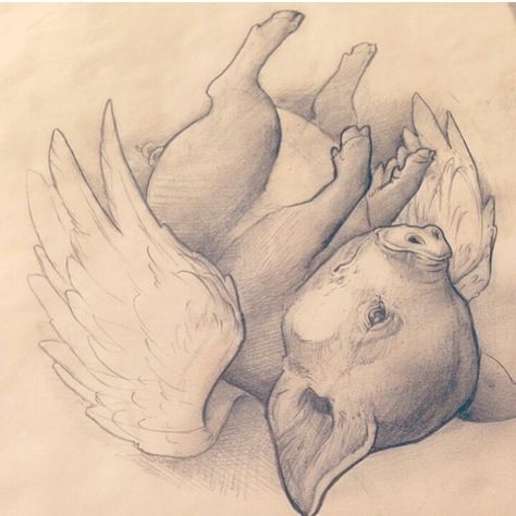 Winged pig Angel Pig Tattoo, Flying Pig Sketch, Flying Pig Drawing, Flying Pig Tattoo, Flying Pigs Art, Pigs Art, Pig With Wings, Pig Oil, Pig Sketch